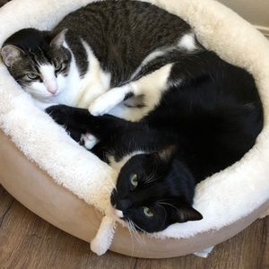 Meet your Posher, Omar